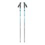 Black Diamond Distance Carbon FLZ Trekking Poles