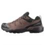 Salomon X Ultra 360 Hiking Shoes